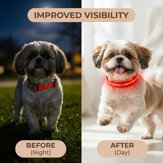 Before and after comparison of a dog wearing a red collar with improved visibility.