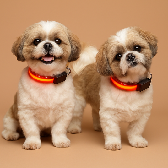 Two small dogs wearing glowing red collars on a beige background