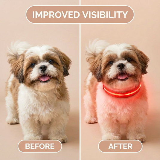Dog wearing a glowing red collar with 'Improved Visibility' text above, on a beige background.