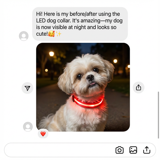 Dog wearing a red LED collar at night with a positive comment above.