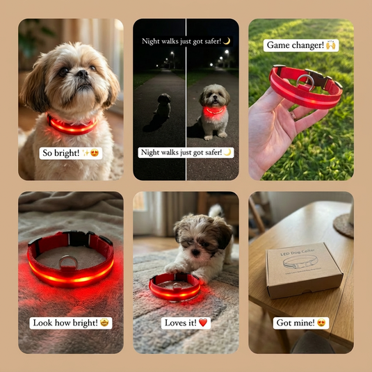 Collage of a dog wearing a red LED dog collar with various text comments on a beige background.