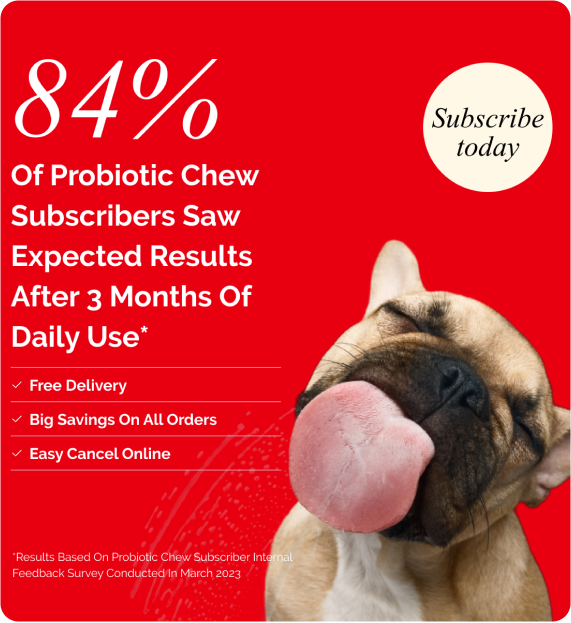 Probiotic Chew