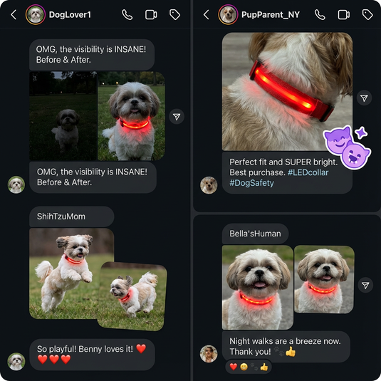 Reviews of a dog collar with LED lights, showing before and after effects on visibility.