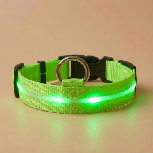 Green LED dog collar on a beige background