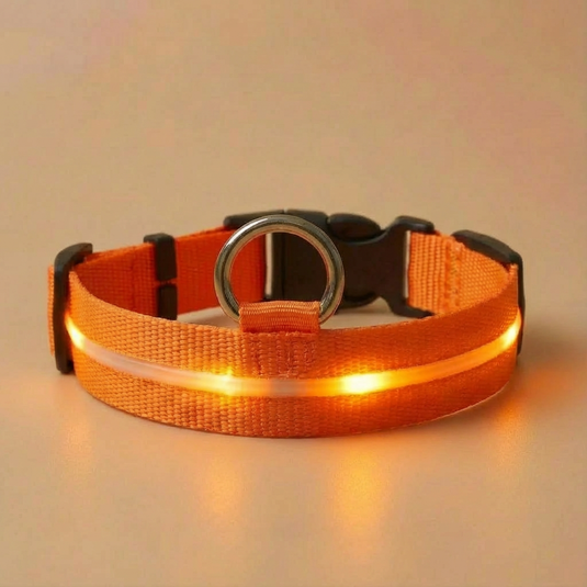 Orange LED dog collar on a beige background